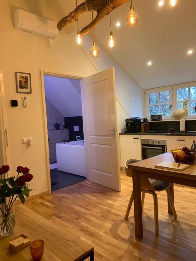 Bed&Breakfast De Haen - Privé-appartement van 60 m2 met tweepersoons bubbelbad - met Finse sauna - in westvleugel van luxe villa Oss Buitenkant foto